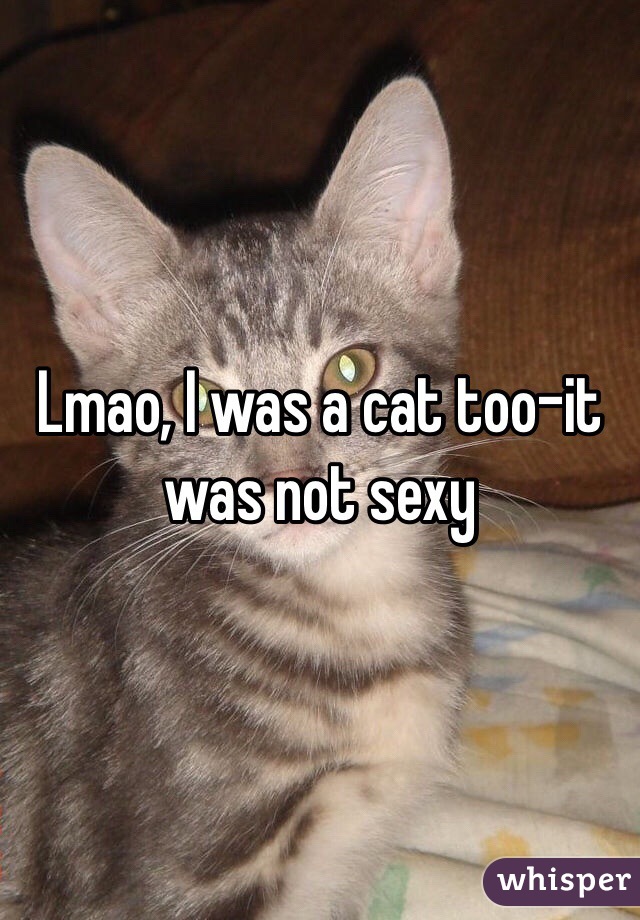 Lmao, I was a cat too-it was not sexy 