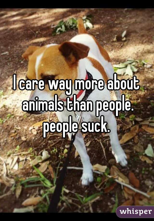 I care way more about animals than people.
people suck.