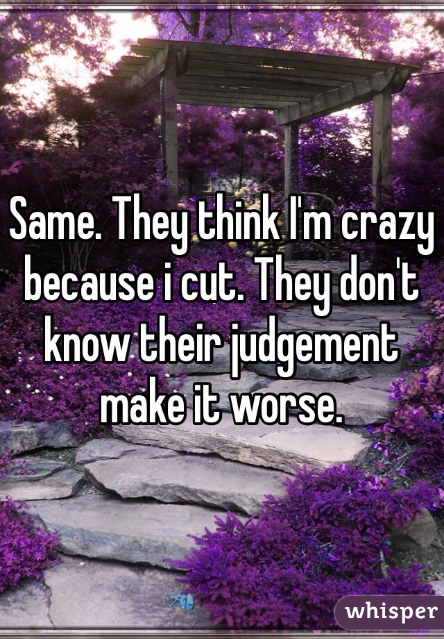 Same. They think I'm crazy because i cut. They don't know their judgement make it worse. 