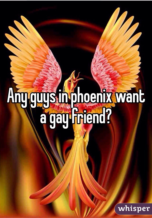 Any guys in phoenix want a gay friend? 