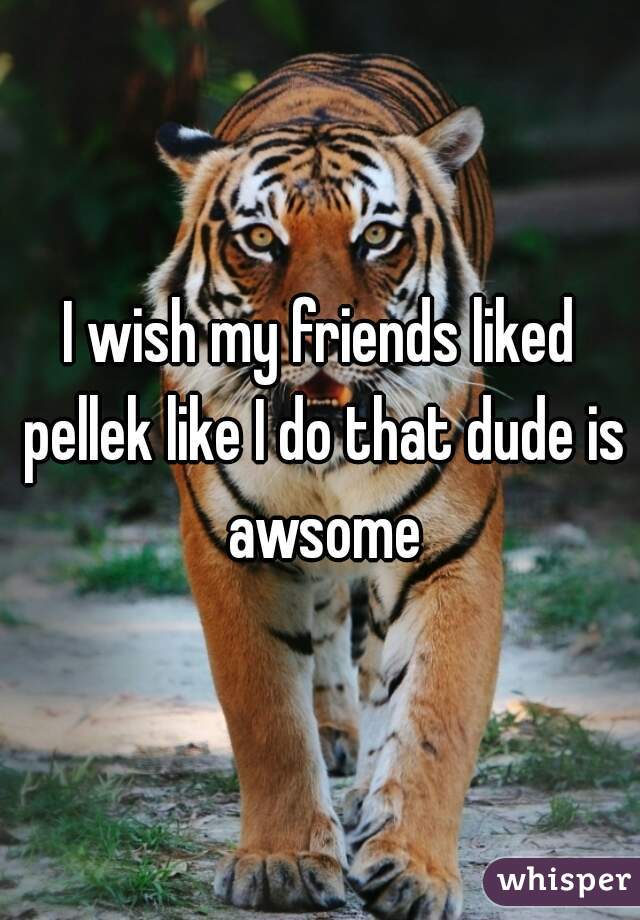 I wish my friends liked pellek like I do that dude is awsome