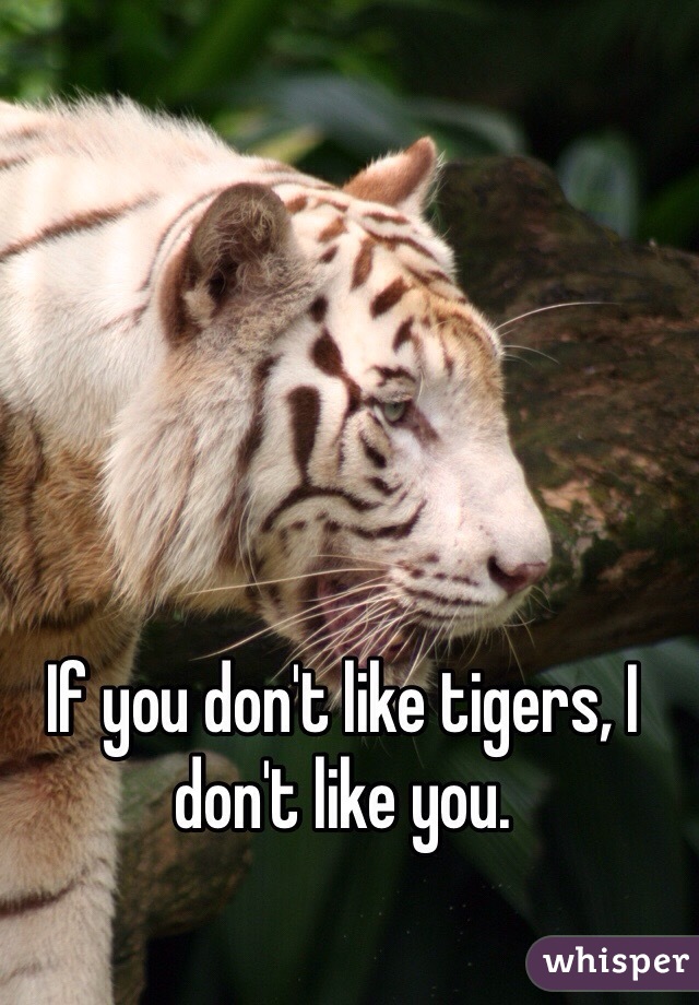 If you don't like tigers, I don't like you.
