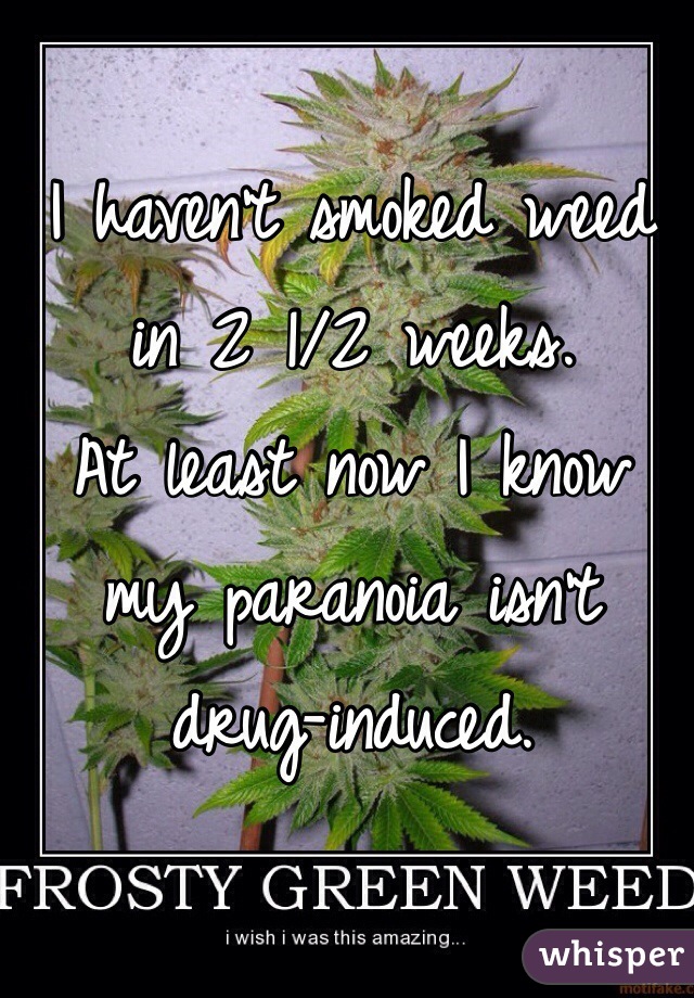 I haven't smoked weed in 2 1/2 weeks.
At least now I know my paranoia isn't drug-induced.