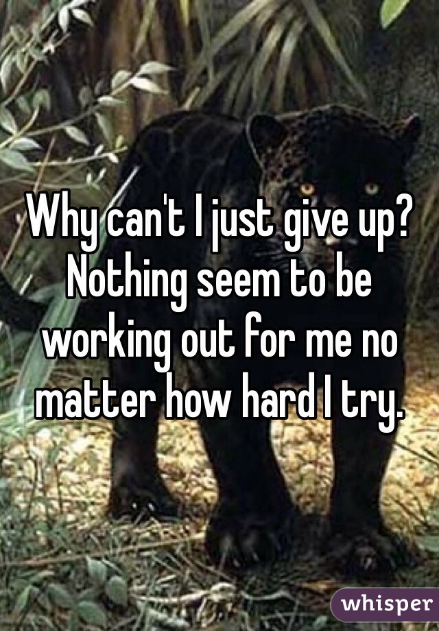 Why can't I just give up? Nothing seem to be working out for me no matter how hard I try. 