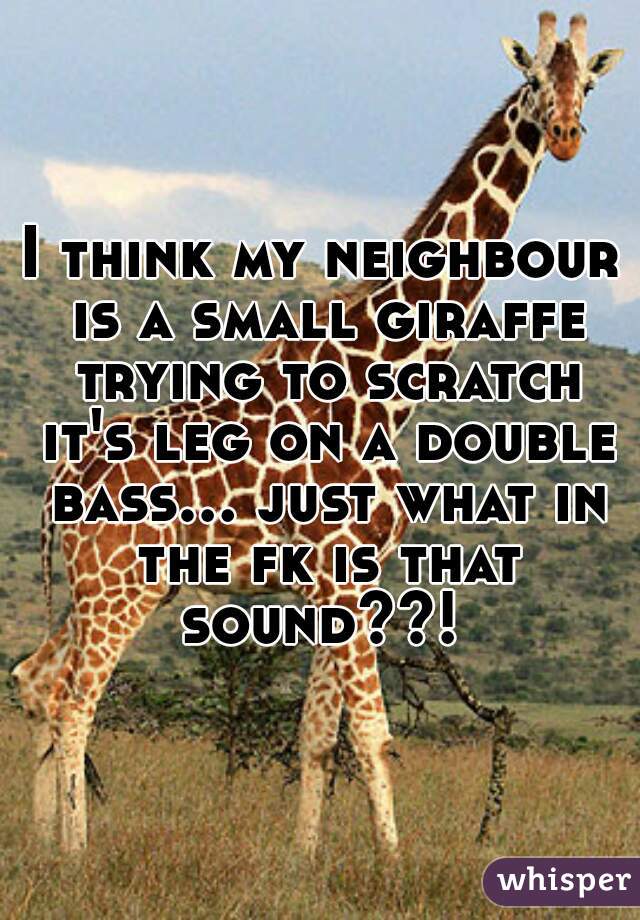 I think my neighbour is a small giraffe trying to scratch it's leg on a double bass... just what in the fk is that sound??! 