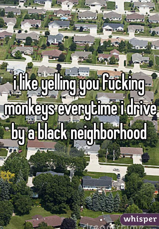 i like yelling you fucking monkeys everytime i drive by a black neighborhood 