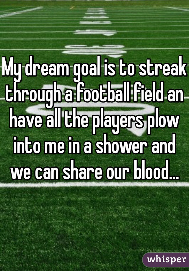My dream goal is to streak through a football field an have all the players plow into me in a shower and we can share our blood...
