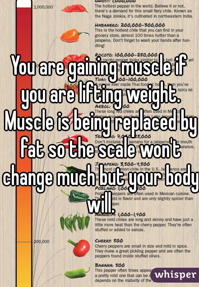 You are gaining muscle if you are lifting weight. Muscle is being replaced by fat so the scale won't change much but your body will.