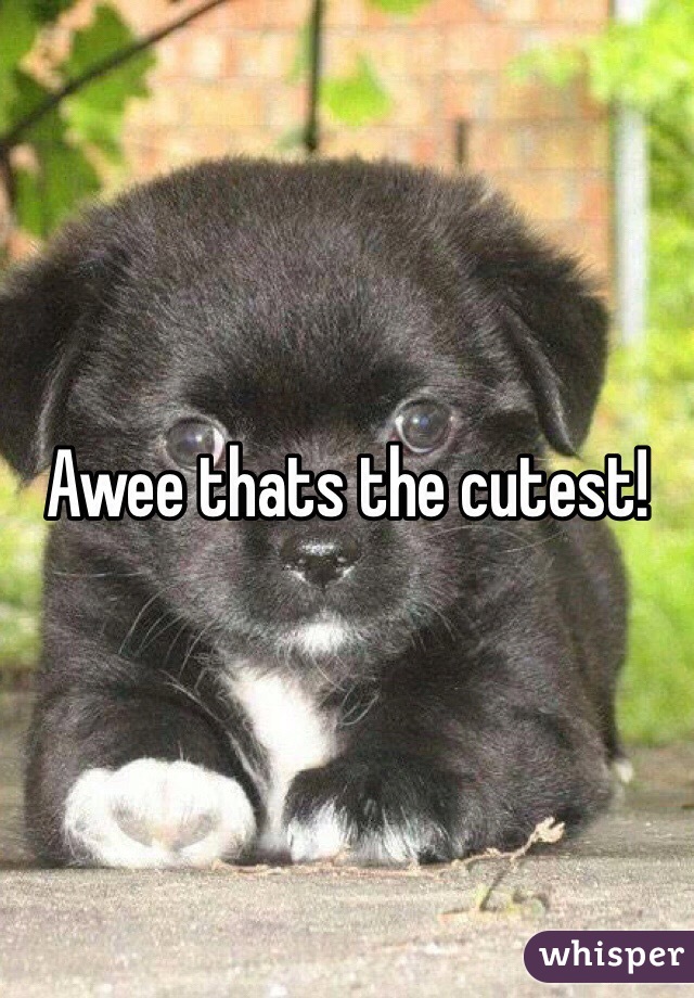 Awee thats the cutest!