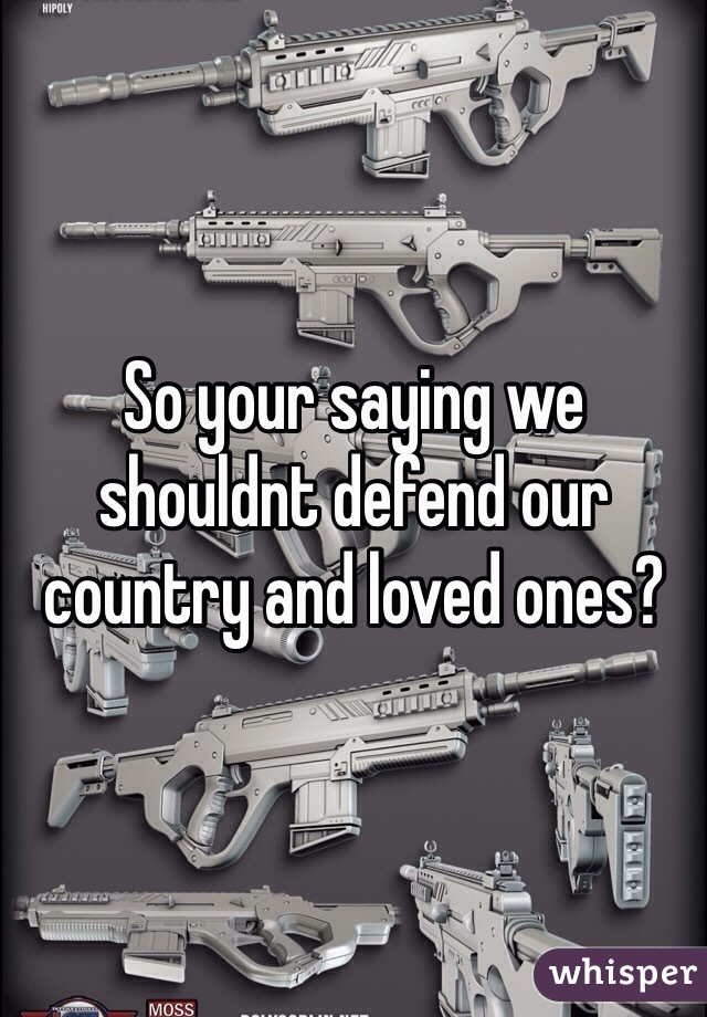 So your saying we shouldnt defend our country and loved ones?