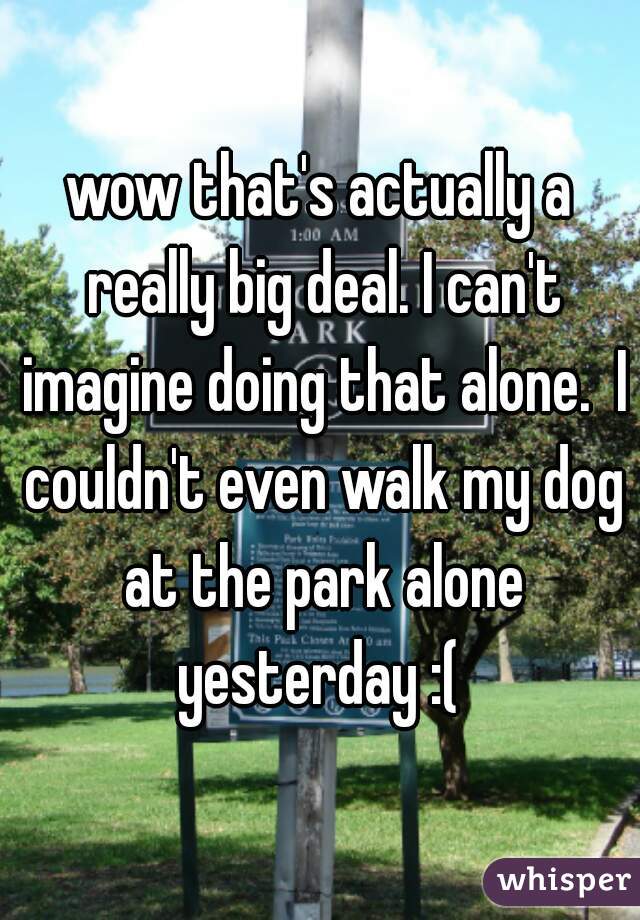 wow that's actually a really big deal. I can't imagine doing that alone.  I couldn't even walk my dog at the park alone yesterday :( 