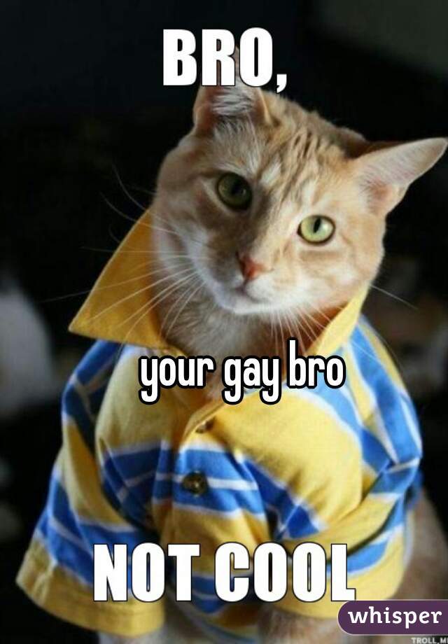 your gay bro