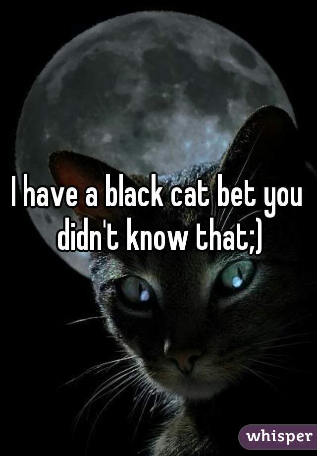 I have a black cat bet you didn't know that;)