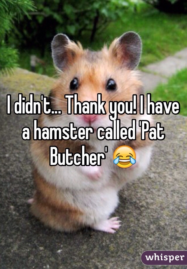 I didn't... Thank you! I have a hamster called 'Pat Butcher' 😂