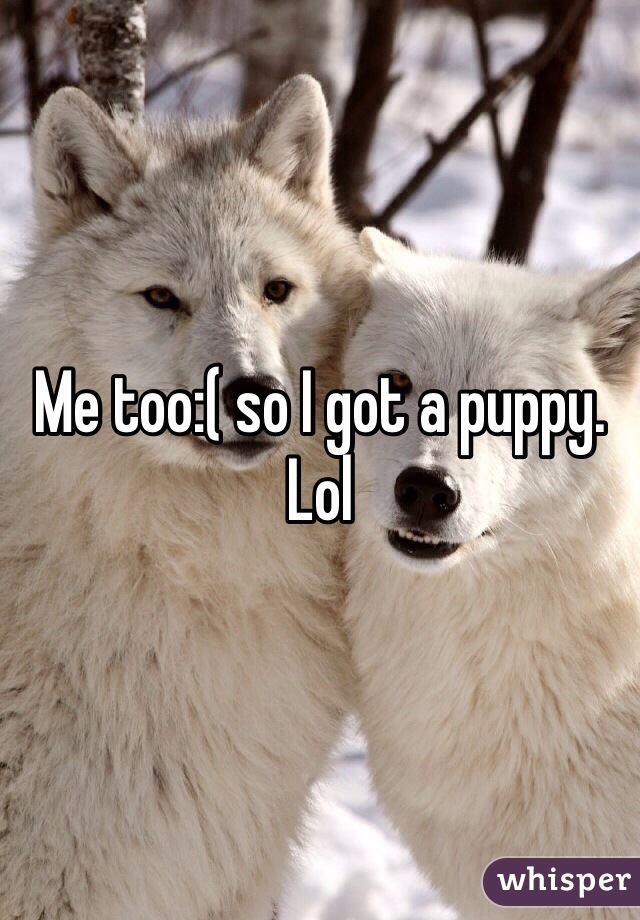 Me too:( so I got a puppy. Lol