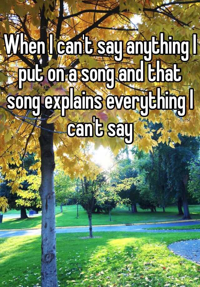 when-i-can-t-say-anything-i-put-on-a-song-and-that-song-explains