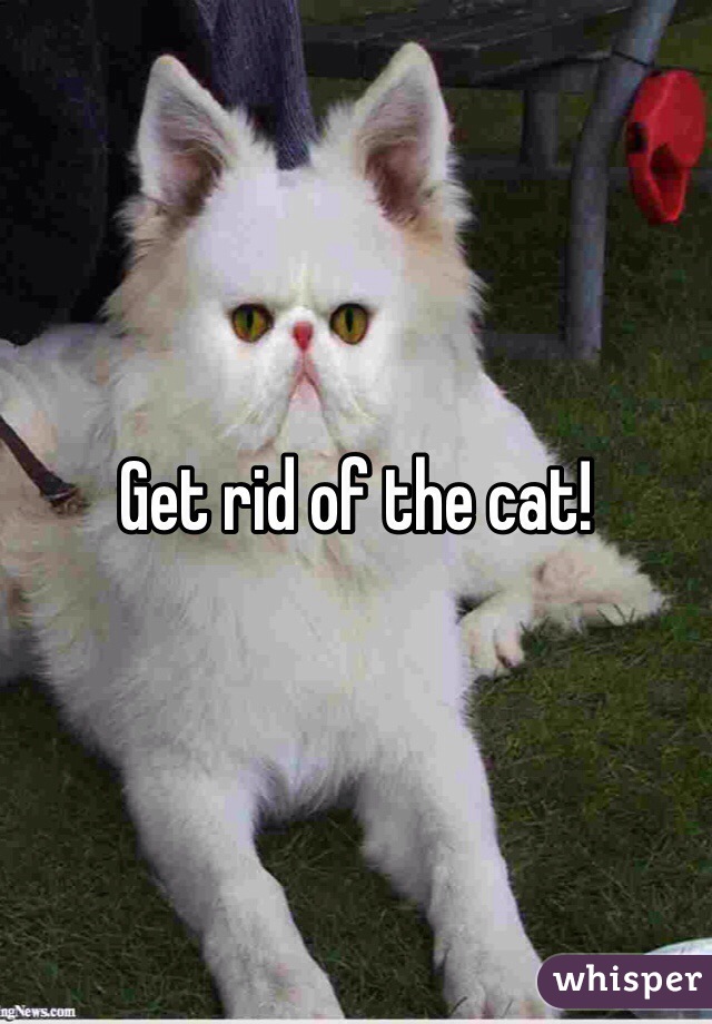 Get rid of the cat!