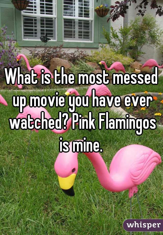 What is the most messed up movie you have ever watched? Pink Flamingos is mine. 