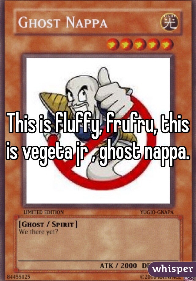 This is fluffy, frufru, this is vegeta jr , ghost nappa.