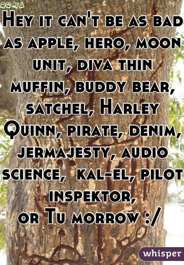 Hey it can't be as bad as apple, hero, moon unit, diva thin muffin, buddy bear, satchel, Harley Quinn, pirate, denim, jermajesty, audio science,  kal-el, pilot inspektor, 
or Tu morrow :/ 