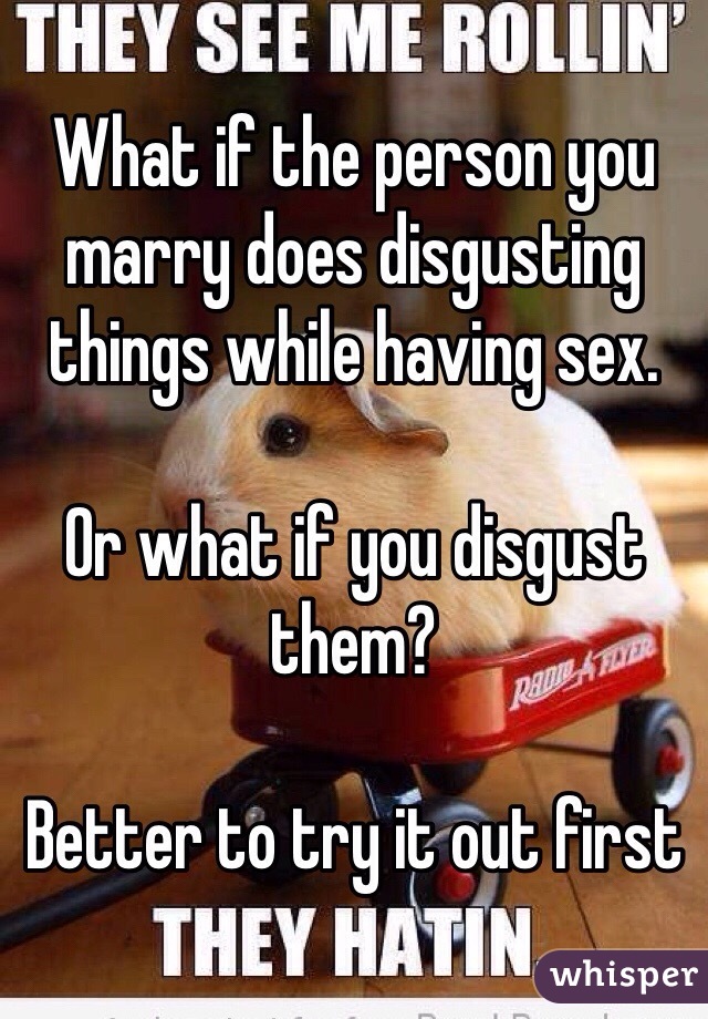 What if the person you marry does disgusting things while having sex.

Or what if you disgust them? 

Better to try it out first