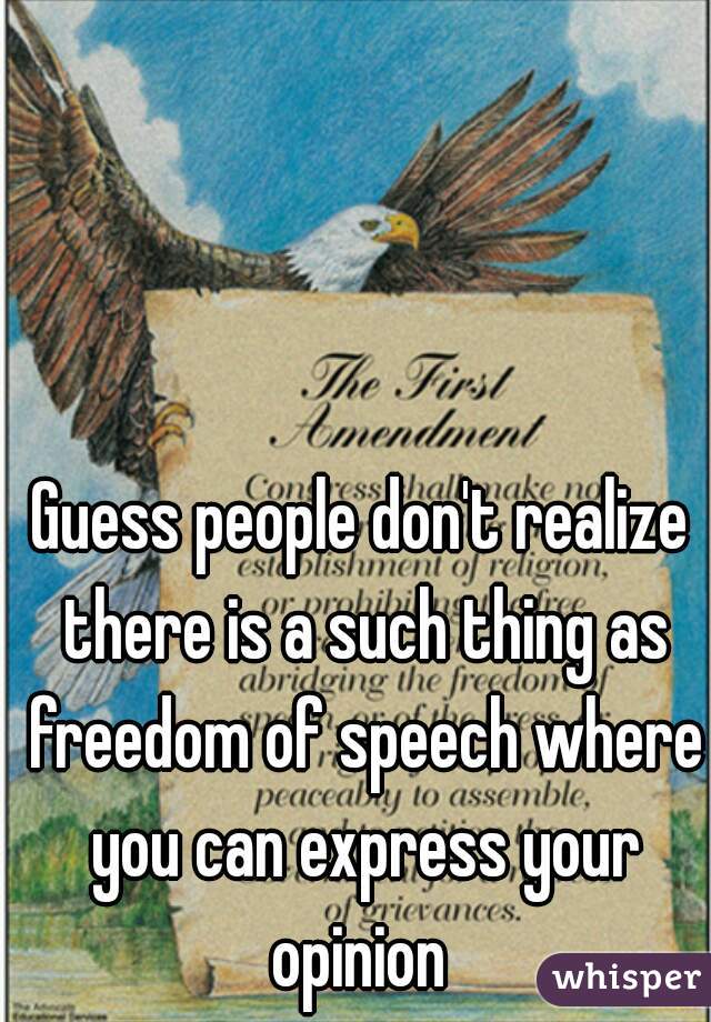 Guess people don't realize there is a such thing as freedom of speech where you can express your opinion 