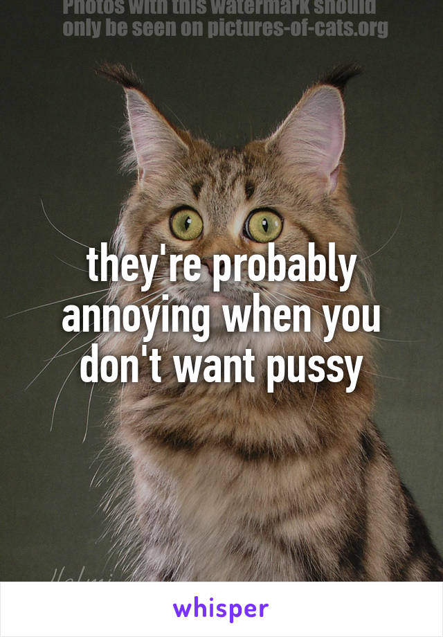 they're probably annoying when you don't want pussy