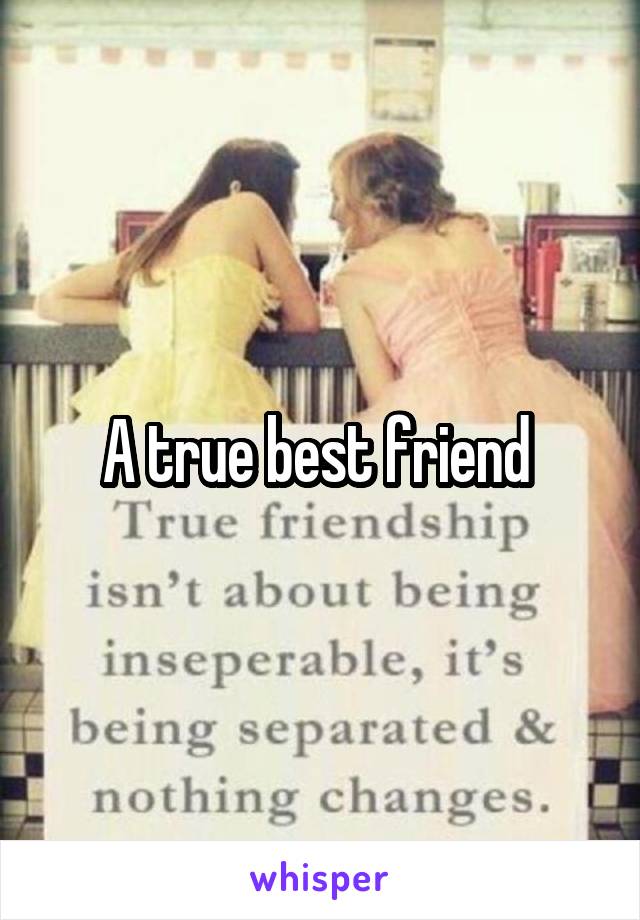 A true best friend 