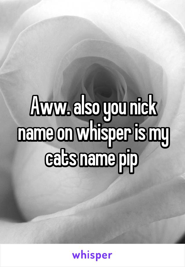 Aww. also you nick name on whisper is my cats name pip 