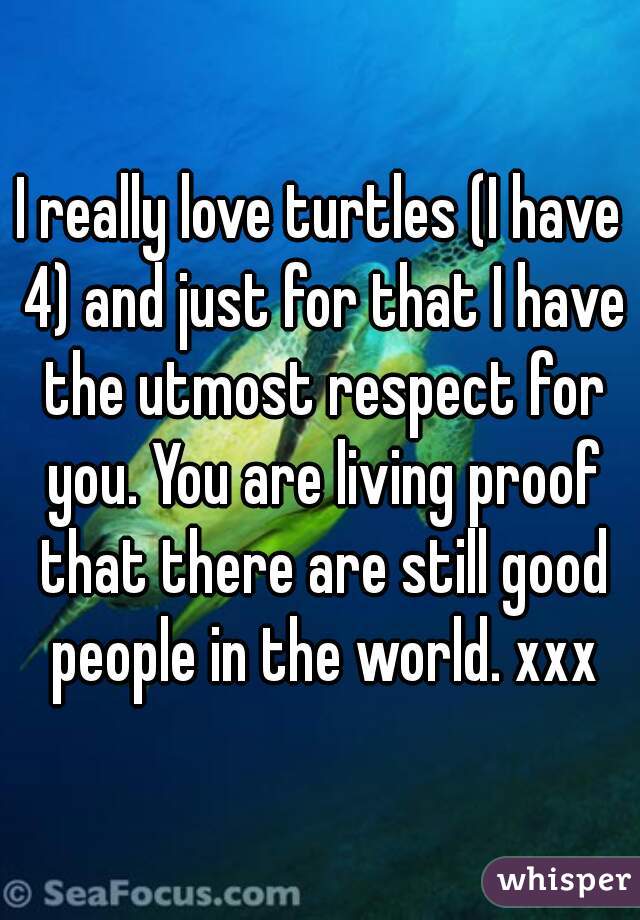 I really love turtles (I have 4) and just for that I have the utmost respect for you. You are living proof that there are still good people in the world. xxx