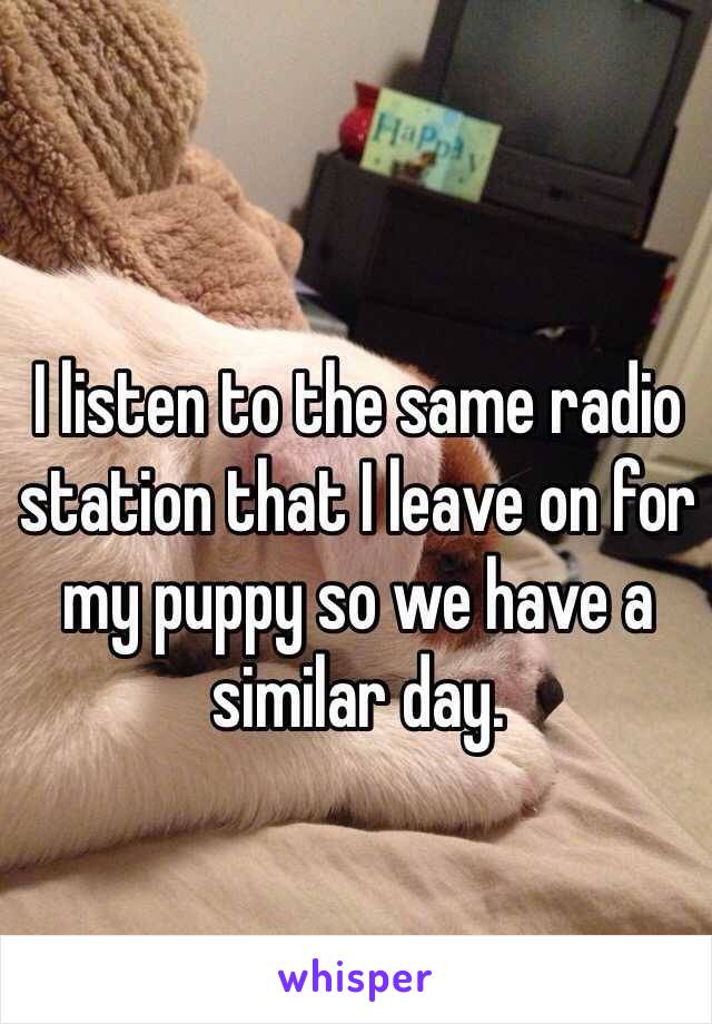 I listen to the same radio station that I leave on for my puppy so we have a similar day. 