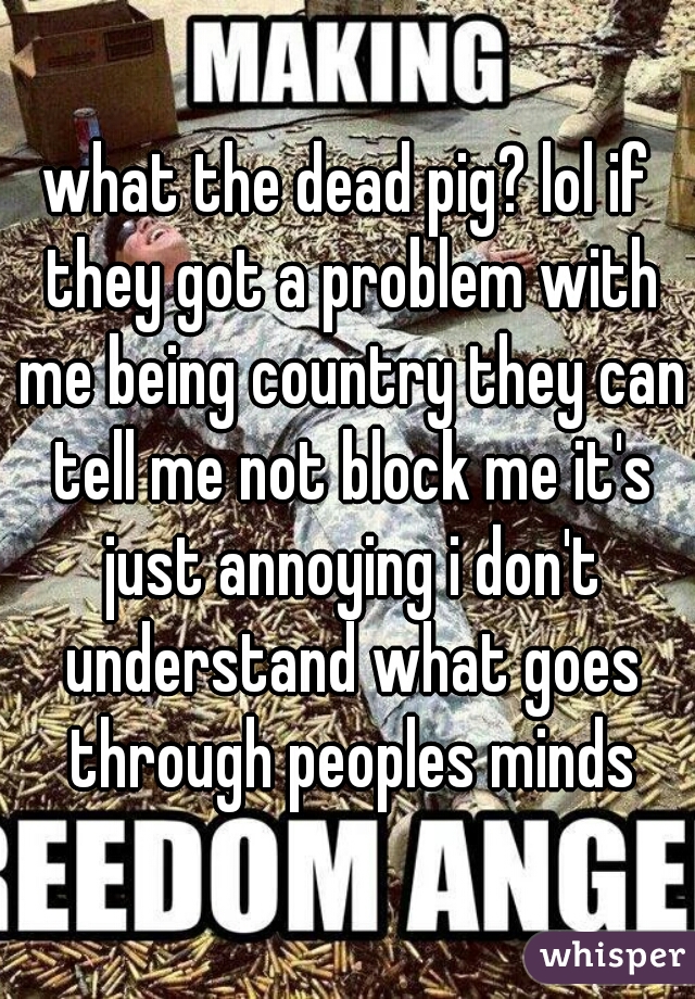 what the dead pig? lol if they got a problem with me being country they can tell me not block me it's just annoying i don't understand what goes through peoples minds