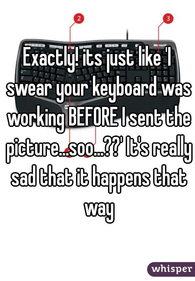 Exactly! its just like 'I swear your keyboard was working BEFORE I sent the picture...soo...??' It's really sad that it happens that way