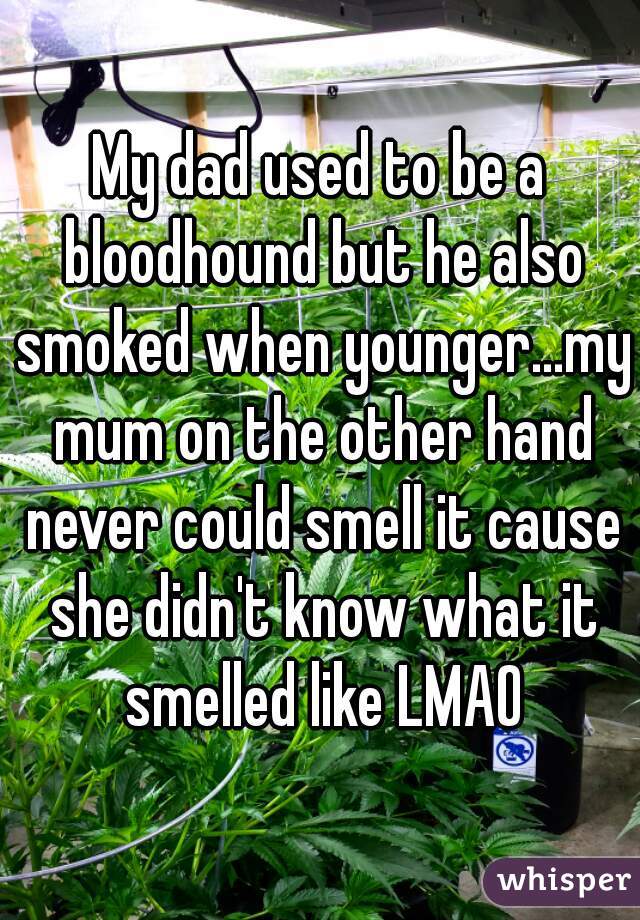 My dad used to be a bloodhound but he also smoked when younger...my mum on the other hand never could smell it cause she didn't know what it smelled like LMAO