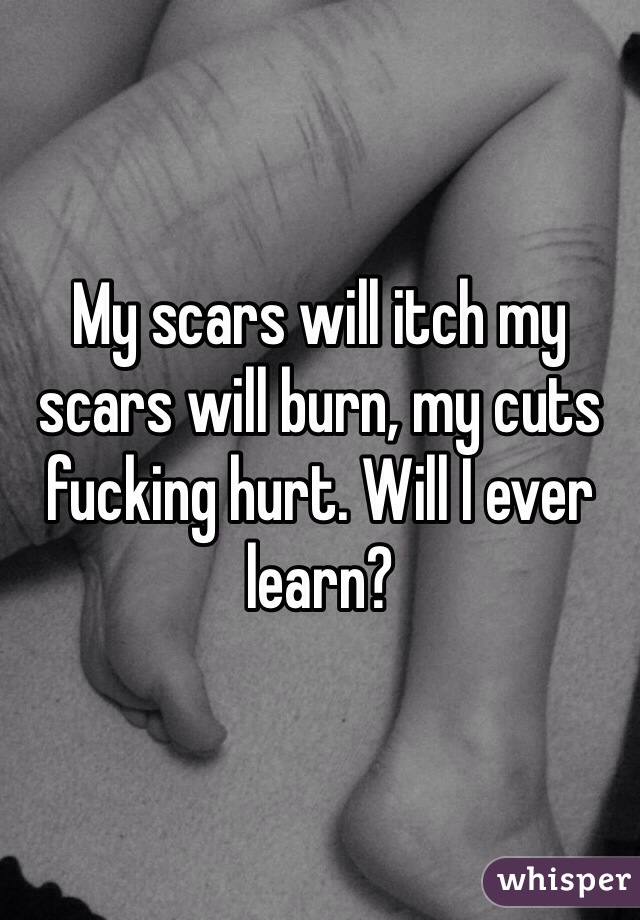 My scars will itch my scars will burn, my cuts fucking hurt. Will I ever learn? 