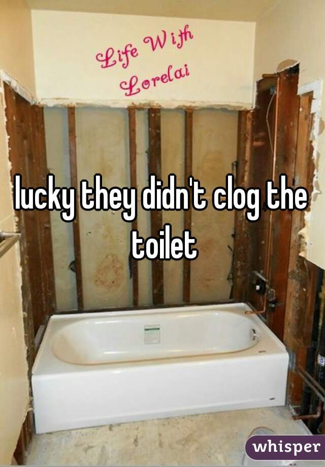 lucky they didn't clog the toilet