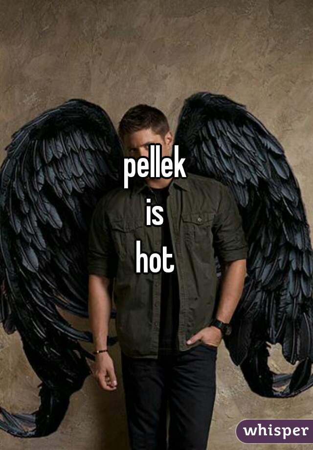 pellek
 is 
hot