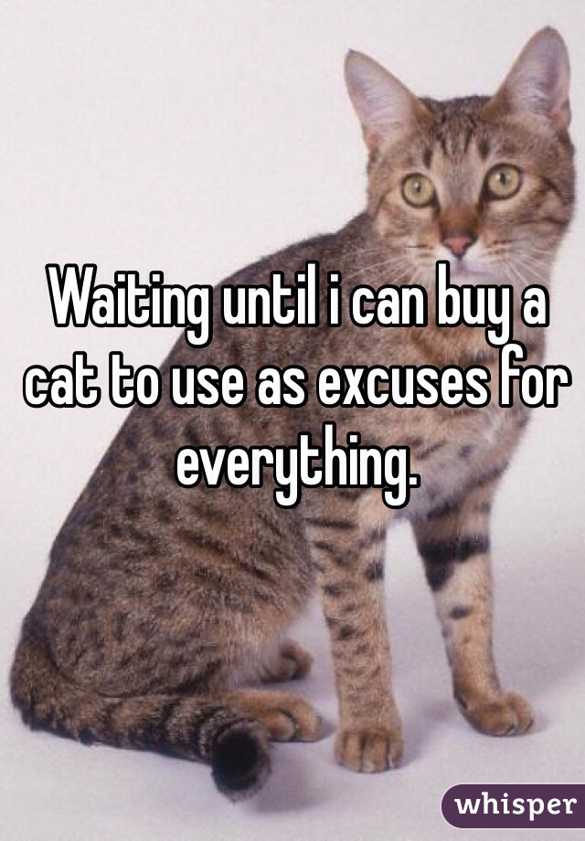 Waiting until i can buy a cat to use as excuses for everything.