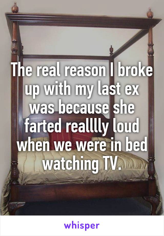 The real reason I broke up with my last ex was because she farted realllly loud when we were in bed watching TV.