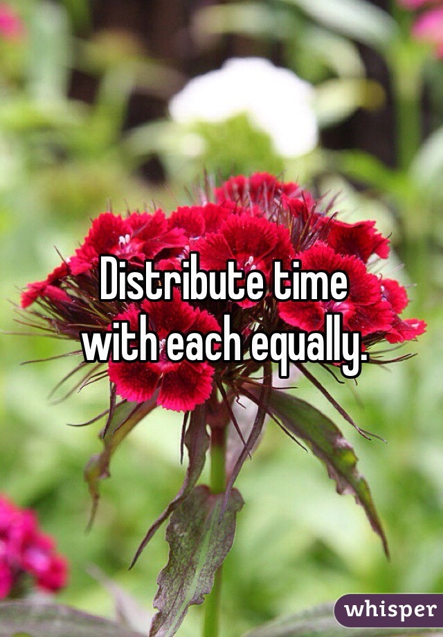Distribute time 
with each equally.