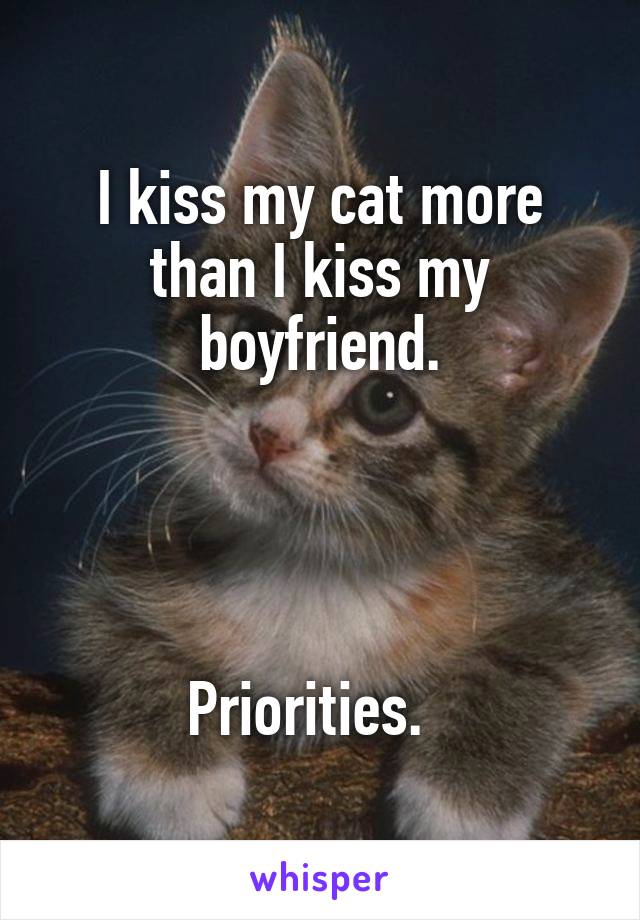 I kiss my cat more than I kiss my boyfriend.




Priorities.  