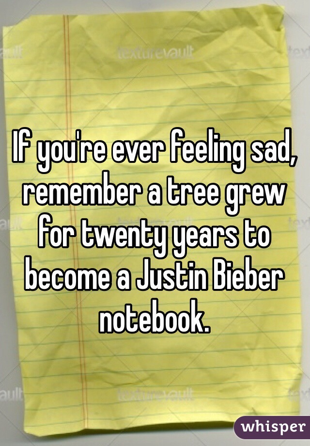 If you're ever feeling sad, remember a tree grew for twenty years to become a Justin Bieber notebook. 