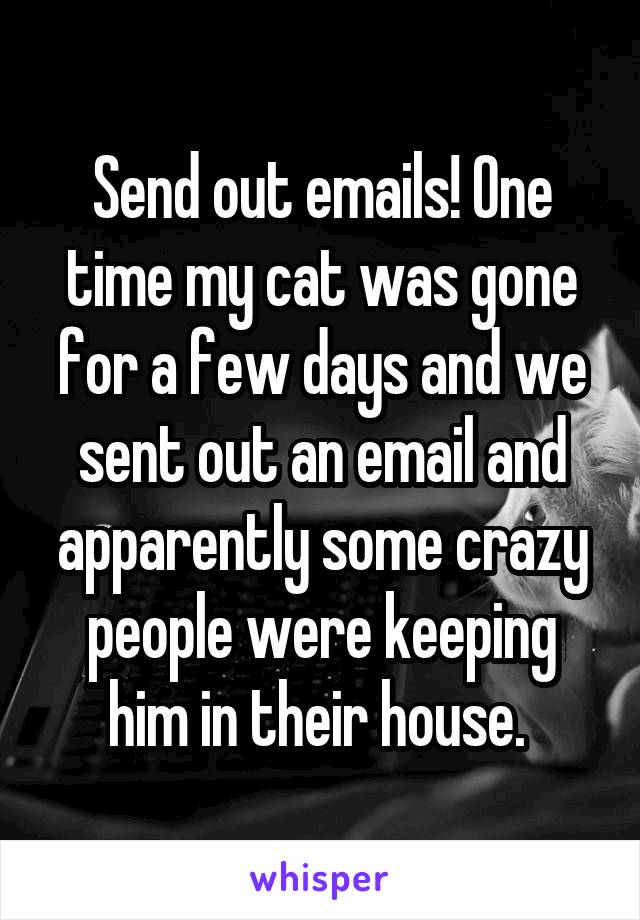 Send out emails! One time my cat was gone for a few days and we sent out an email and apparently some crazy people were keeping him in their house. 