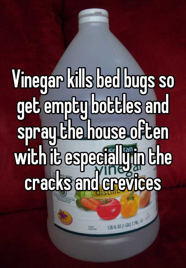 vinegar-kills-bed-bugs-so-get-empty-bottles-and-spray-the-house-often