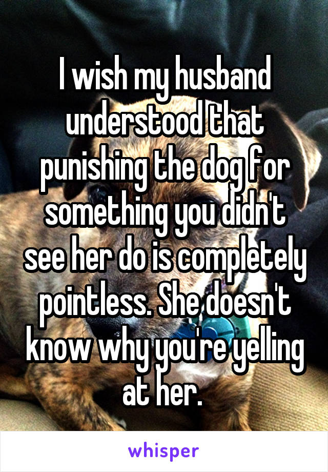 I wish my husband understood that punishing the dog for something you didn't see her do is completely pointless. She doesn't know why you're yelling at her. 