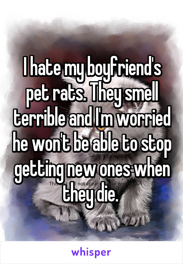 I hate my boyfriend's pet rats. They smell terrible and I'm worried he won't be able to stop getting new ones when they die. 