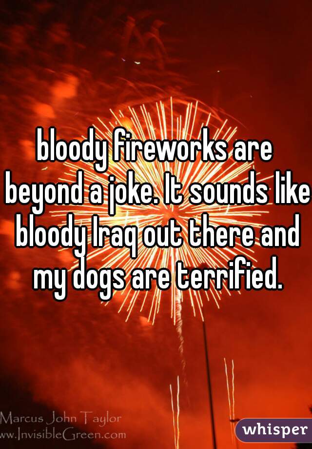 bloody fireworks are beyond a joke. It sounds like bloody Iraq out there and my dogs are terrified.