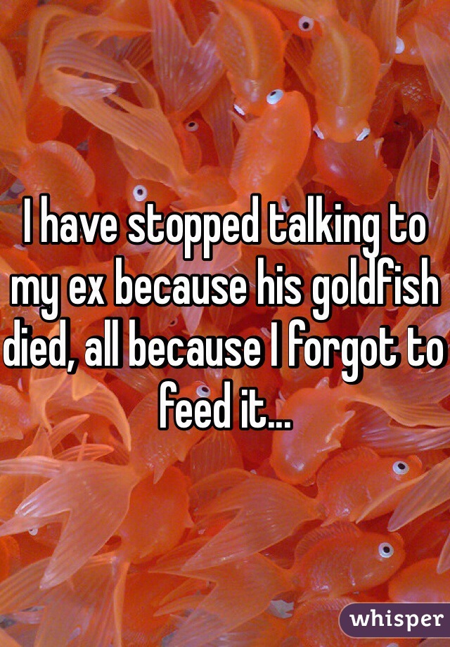 I have stopped talking to my ex because his goldfish died, all because I forgot to feed it...