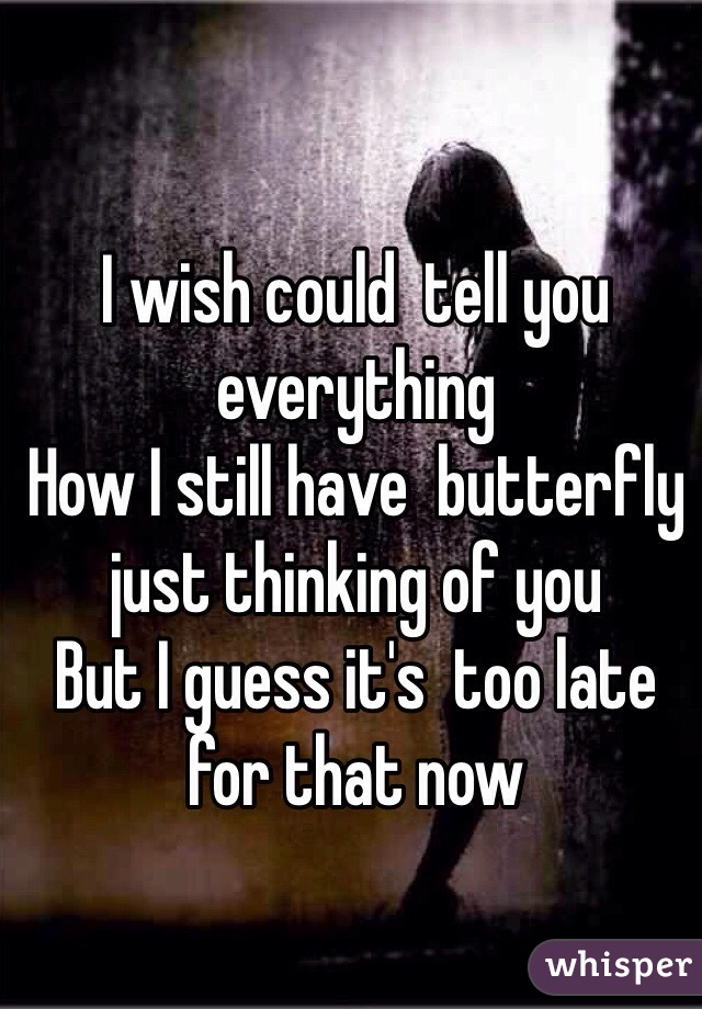 I wish could  tell you everything 
How I still have  butterfly just thinking of you 
But I guess it's  too late for that now 