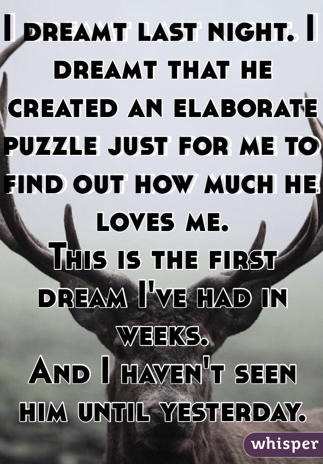 I dreamt last night. I dreamt that he created an elaborate puzzle just for me to find out how much he loves me.
This is the first dream I've had in weeks. 
And I haven't seen him until yesterday.